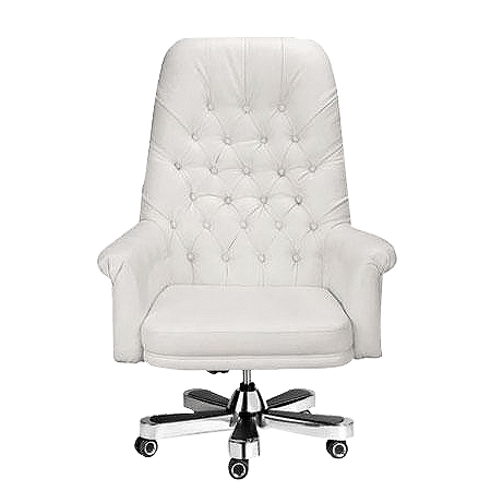 Ceo Chairs supplier in Delhi & NCR , India