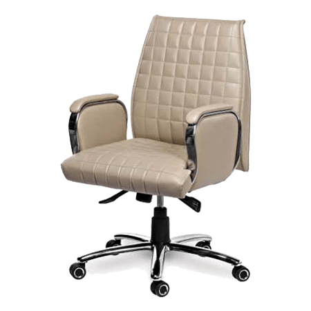 Ceo Chairs supplier in Gurgaon